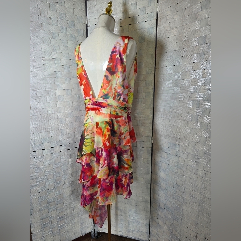 LIV FOSTER DRESS - Picture 8 of 14